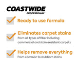 Coastwide Professional Carpet Spotter 67, 0.95L, 6/Carton