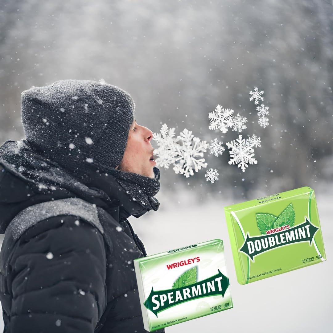 Wrigleys Doublemint Gum and Wrigleys Spearmint Gum Bulk Variety Pack, 15 Sticks (Pack of 20), 300 Total Sticks of Chewing Gum Bulk Individually