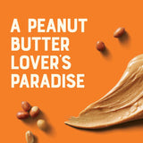 Clif Nut Butter Bar - Organic Snack Bars - Peanut Butter - Organic - Plant Protein - Non-GMO (1.76 Ounce Protein Snack Bars, 12 Count)