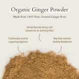 Geo-Fresh Organic Ginger Powder 1.4 oz - Ground Ginger Powder Organic Raw - USDA Certified, Non-GMO, Kosher, Gluten-Free - Premium Spice and Seasoning