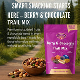 Platinum Berry & Chocolate Trail Mix 22 oz | Resealable Bag | Sweet & Savory Blend with Peanuts, Raisins, Berries & Candy-Coated Gems | Colorful Snack