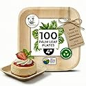Palm Leaf Plates 4 Inch Bamboo Plate Disposable 100 Pack Small Dessert and Appetizer Square Party Plates Biodegradable Compostable Cocktail Better
