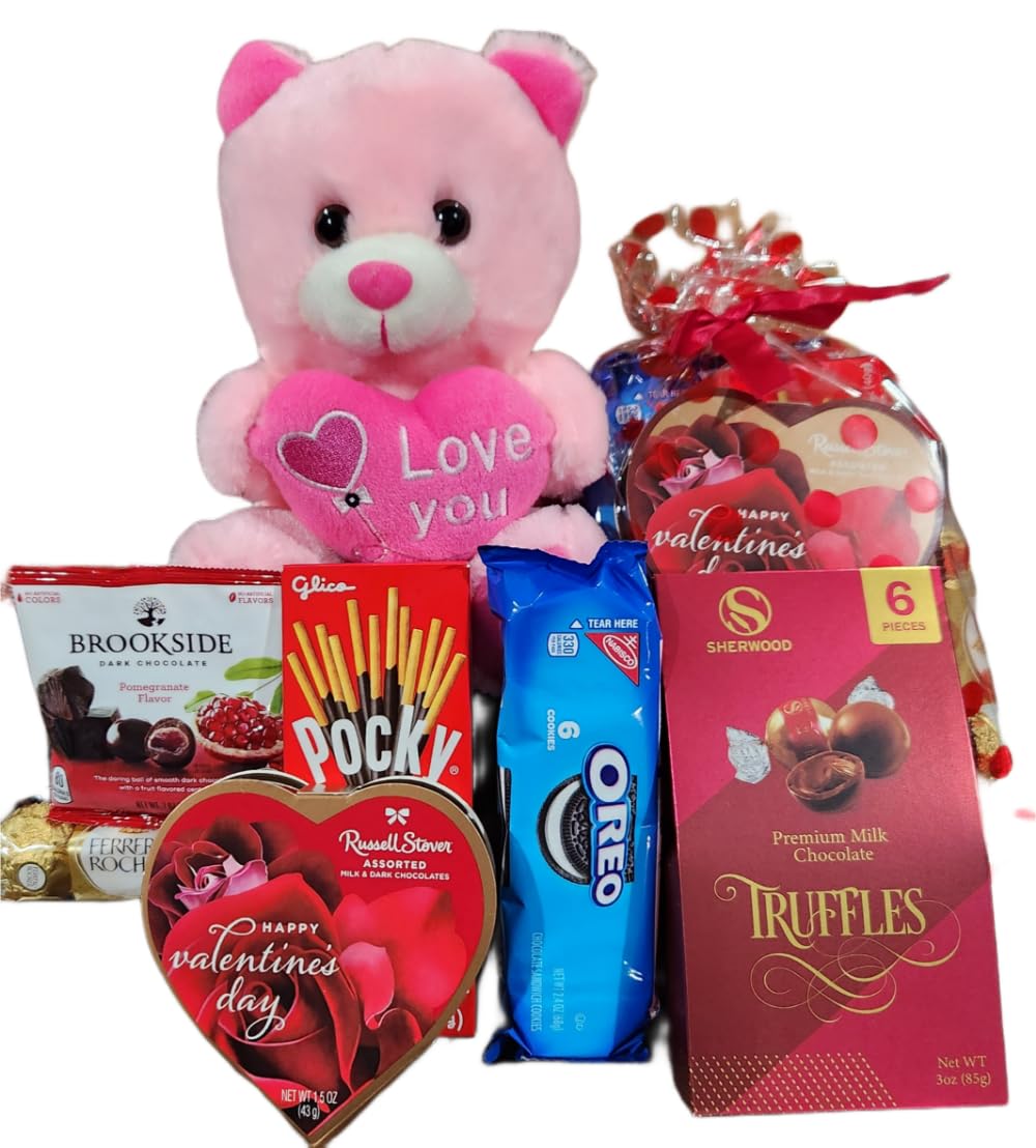 Valentines Day Gift Teddy Bear with Chocolates and Cookies Assortment, 10 Inches (pink)