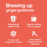 Tipson Ginger-Peach Flavor | Caffeine Free | All Natural Ingredients | USDA Organic | 20 Enveloped Tea Bags