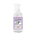 Rebel Green Natural All-Purpose Cleaning Spray - Derived Multi-Surface Cleaner with Essential Oils for Kitchen, Bath, Countertops and More - Lavender