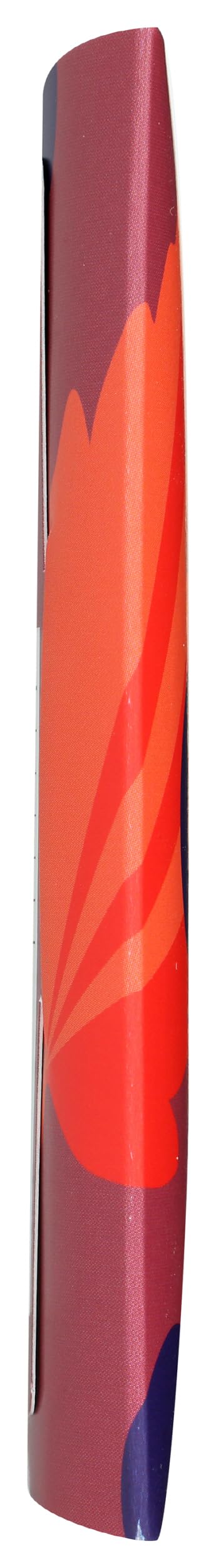 Goodio Chocolate Bar, Berry Nordic 71%, Vegan, Gluten- free, 1.7 Ounce