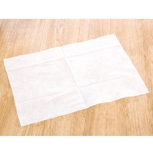 ZaH 100pcs Cleaning Paper Electrostatic Paper Mop Disposable Paper Clean Dust & Hair for Floor, Window, Camera, TV, Wall & Door (Paper)