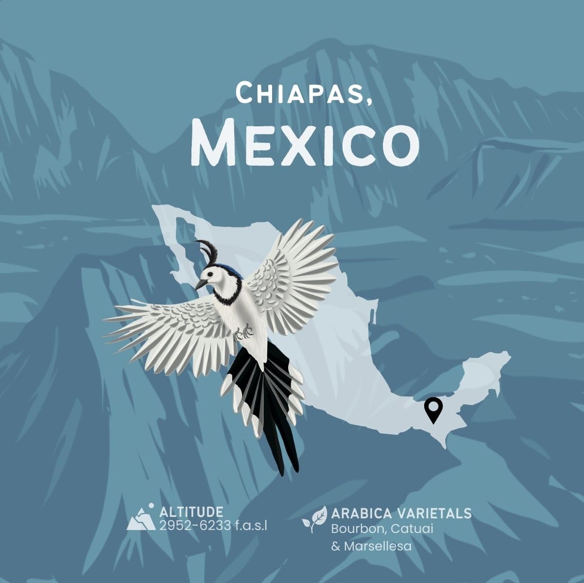 Canopy Point Coffee | Chiapas Mexico Light Roast | Peach & Honeycomb Notes | Arabica Single Origin | Specialty Blonde Roast | Air Roasted (Whole Bean