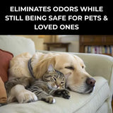 Carpet Deodorizer & Freshener Powder - Upholstery, Couch & Rug Odor Eliminator for Strong Odor & Pet Urine | Baking Soda Formula | Tropical Oasis