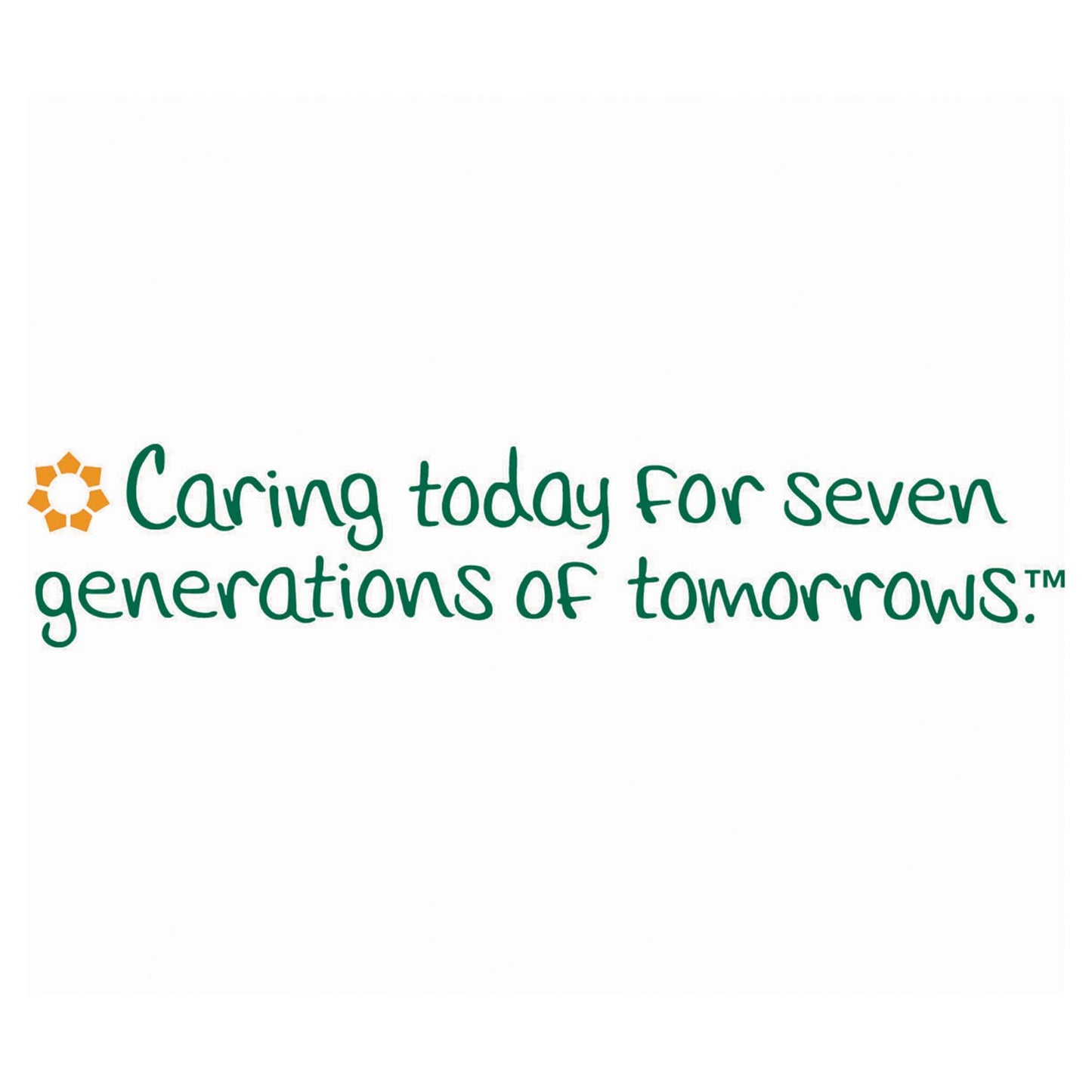 Seventh Generation 13739PK 100% Recycled Paper Towel Rolls, 2-Ply, 156 /RL, 8 RL/PK