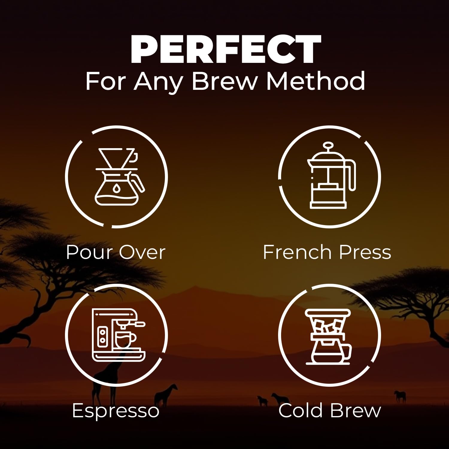 Dark Roast Whole Bean Coffee - Bold & Smooth Arabica for Espresso & Cold Brew - Fresh Roasted Specialty Coffee, Single Origin 300g Bag - Premium