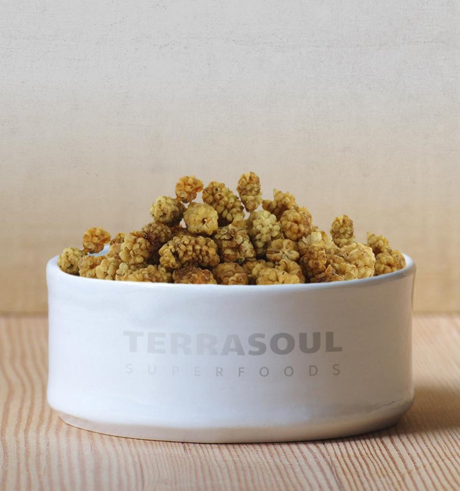 Terrasoul Superfoods Organic Sun-dried White Mulberries, 16 Oz, Sweet Superfood Snacking, Smoothie Booster, and Nutrient-Packed Yogurt Topping