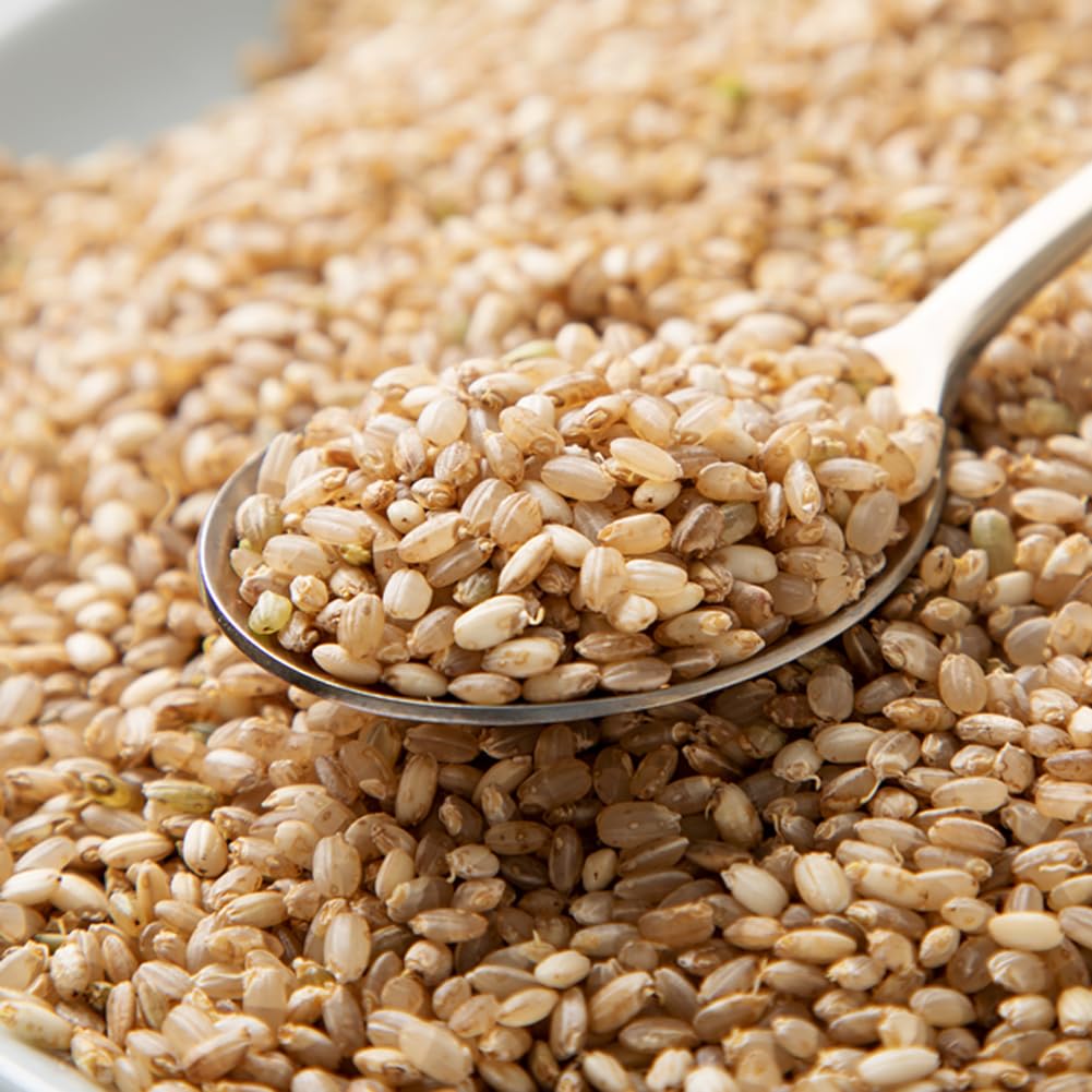 Japanese GABA Rice Brown Rice Whole Grain Sprouted Brown Rice 2.2LBS