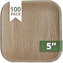 CaterEco Square Palm Leaf Plates Set (Pack of 100) | Appetizer Or Dessert Plates | Ecofriendly Disposable Dinnerware | Heavy Duty Biodegradable Party