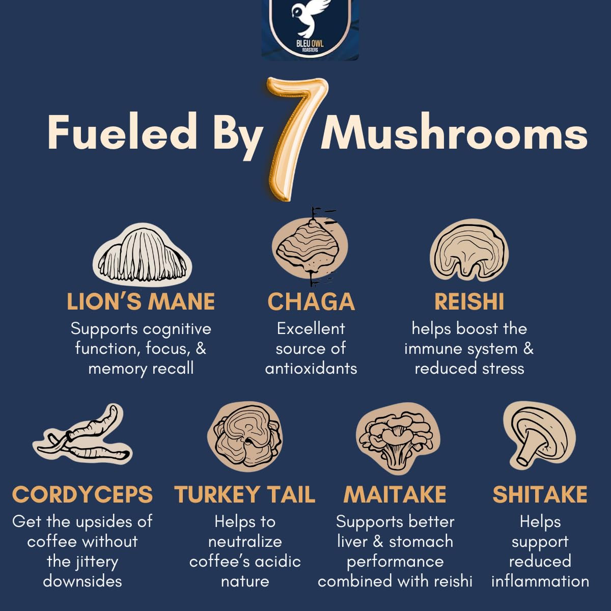 Bleu Owl Instant Organic Mushroom Coffee - 7 Superfood Mushrooms for Gut Health Energy & Clarity - Arabica 35 servings, 2.5oz. - Lion’s Mane Chaga