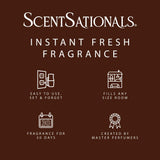 ScentSationals Sugar & Spice Fragrance Oil Plug In Air Freshener Refills 3-Pack - Works with Scentsationals Wall Plugs, Long-Lasting Home Fragrance