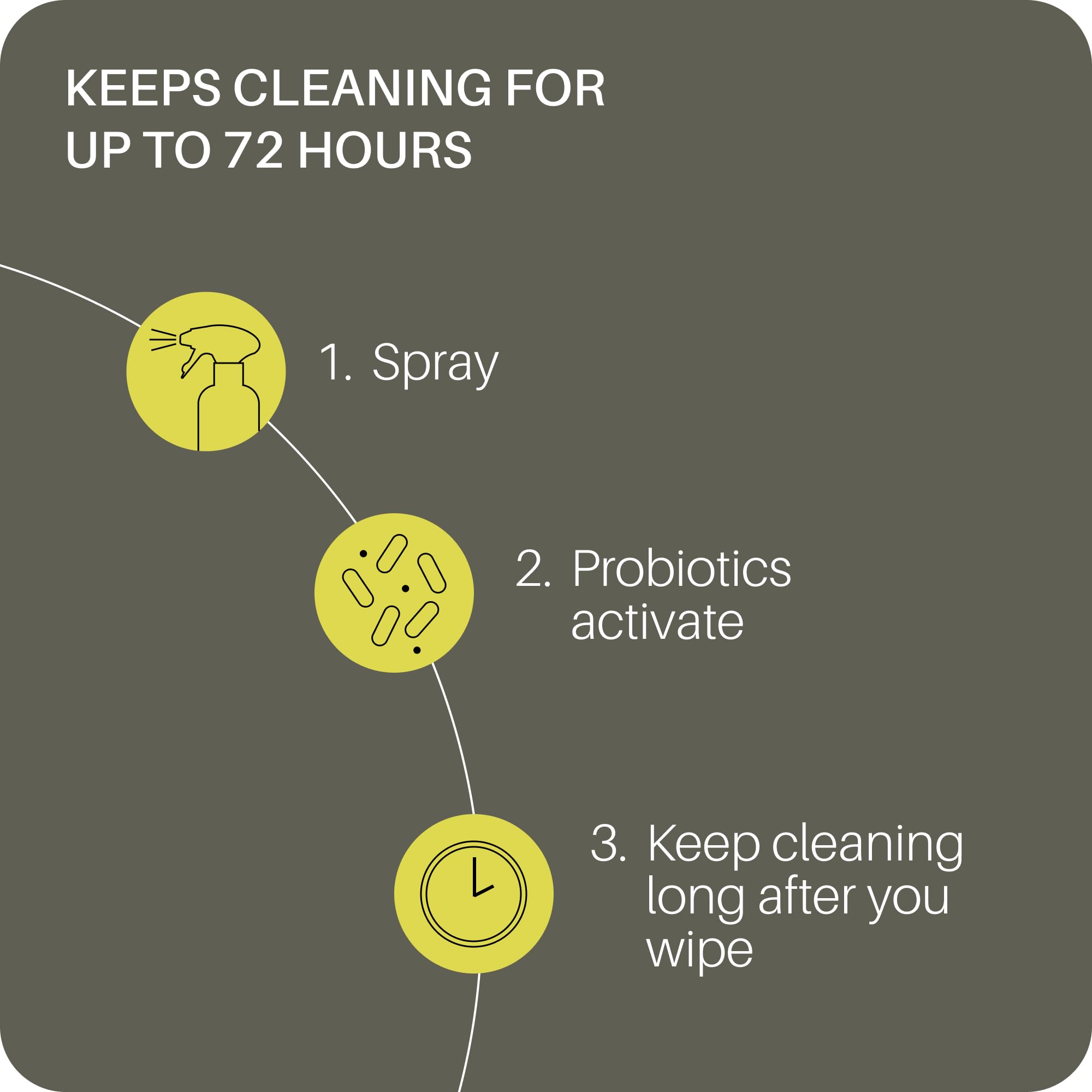 Everneat Probiotic Surface Cleaner Concentrate - Cleans for Days, Refillable, Non-Toxic | Glass Spray Bottle | Eucalyptus, Peppermint, Lemon & Tea