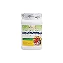 Hong Kong Style Egg Waffle Pancake Mix 3 LBS QUOC VIET BRAND MADE IN USA