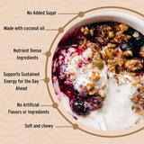Wildway Keto Granola | Coconut Cashew | Grain-Free, Certified Gluten-Free Cereal | Vegan, Low Carb | No Sugar Added | Paleo-Friendly | Non-GMO Fruit