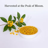 Osmanthus 3.53oz /100g, Dried Osmanthus Flower Edible Osmanthus Loose Leafe Tea, Chinese Traditional Fragrans Tea for Bervage, Food, Baking, Jam, Gui