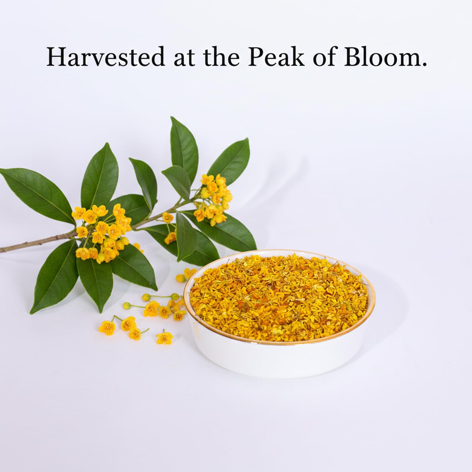 Osmanthus 3.53oz /100g, Dried Osmanthus Flower Edible Osmanthus Loose Leafe Tea, Chinese Traditional Fragrans Tea for Bervage, Food, Baking, Jam, Gui