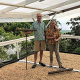 100% Kona Coffee PEABERRY - Whole Bean, Almost Dark roast, Single estate gourmet coffee, 16 ounces, ships direct from Domain Kona Coffee, farm fresh