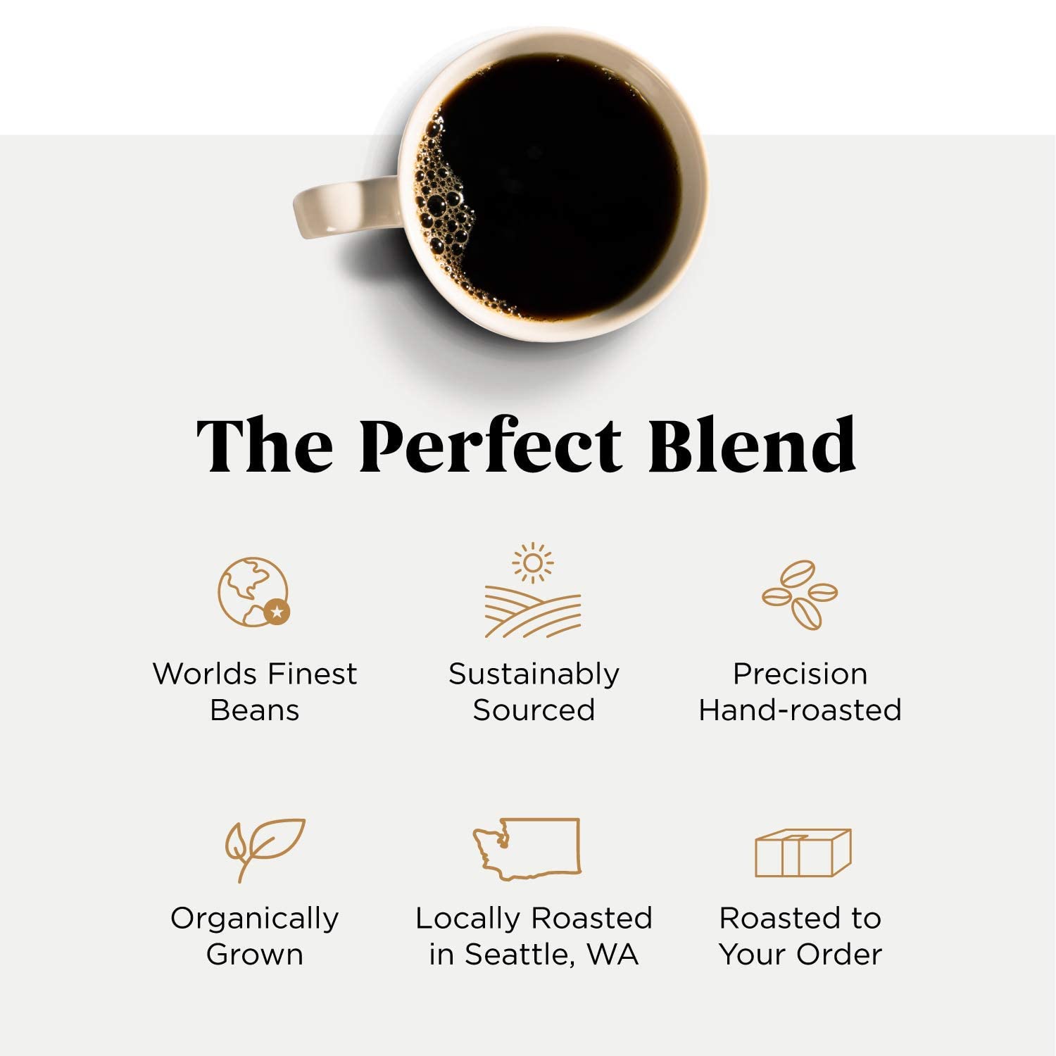 Storyville Coffee Single Serve K-Cups | Keurig Compatible | 32 Count