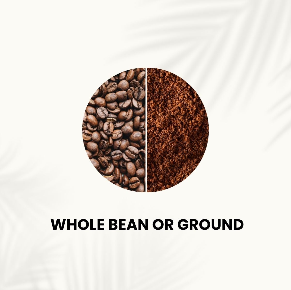 Canopy Point Coffee | Chiapas Mexico Light Roast | Peach & Honeycomb Notes | Arabica Single Origin | Specialty Blonde Roast | Air Roasted (Whole Bean