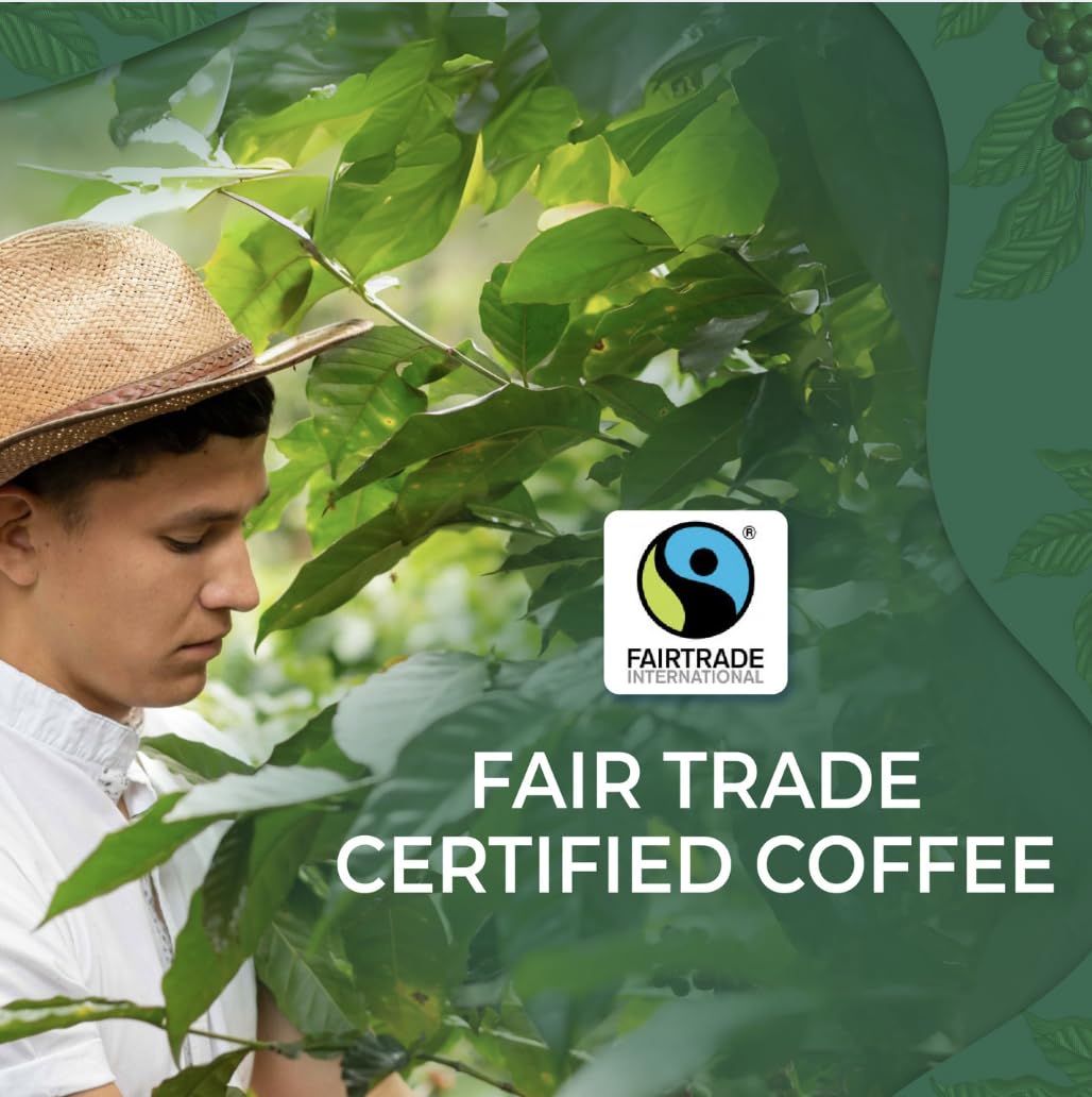 Coffee from Costa Rica, Medium Roast Whole Beans, by Liquid Gold, 1 bag 12oz (340 grams), Fair Trade Certified, Single Origin, 100% Fresh Arabica