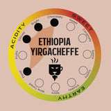 Safari Pride Coffee | Ethiopian Yirgacheffe Premium Single Origin Roast | Smooth Light Medium Roast with Bright Creamy Floral Notes | Gourmet