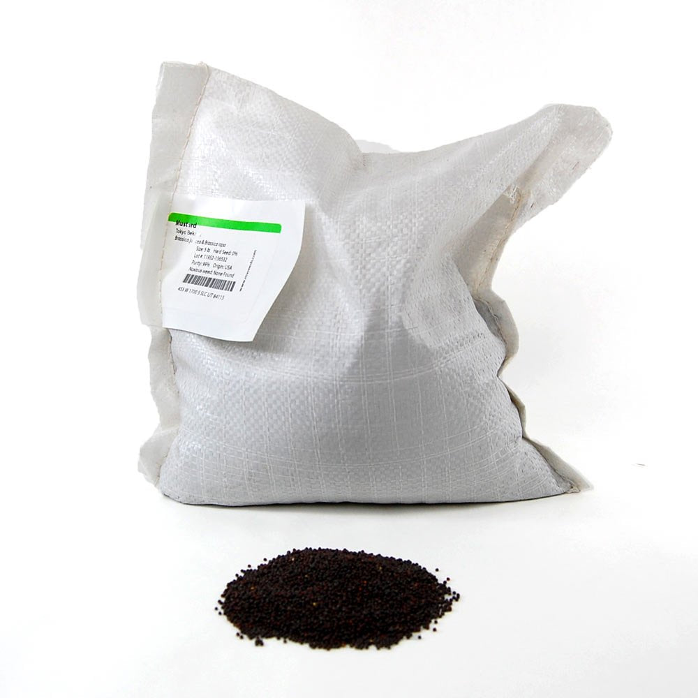 Mountain Valley Seed Co Tokyo Bekana Mustard Seeds: 5 Lb - Bulk