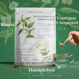 TODICAMP Premium Silver Needle Tea - 1 lb of Premium White Tea Loose Leaf