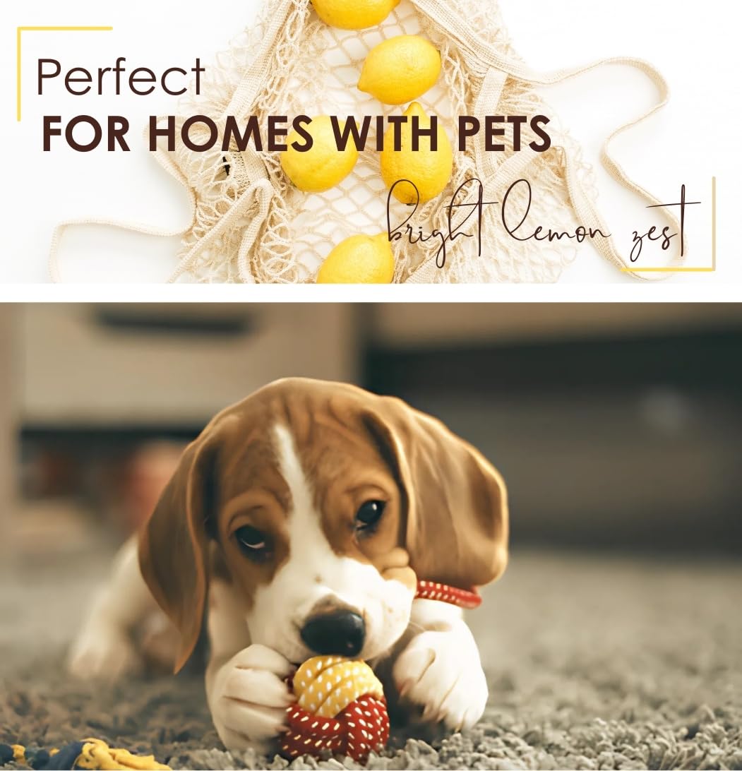 Saturday Morning Fresh | Carpet Odor Eliminator & Deodorizing Powder | Bright Lemon Zest | Safe & Gentle for Households with Pets & Children