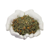 HealinGifts Cota Navajo Tea Indian Tea Greenthread Thelesperma Yabanah 4 ounces. Wildcrafted from North Central New Mexico.
