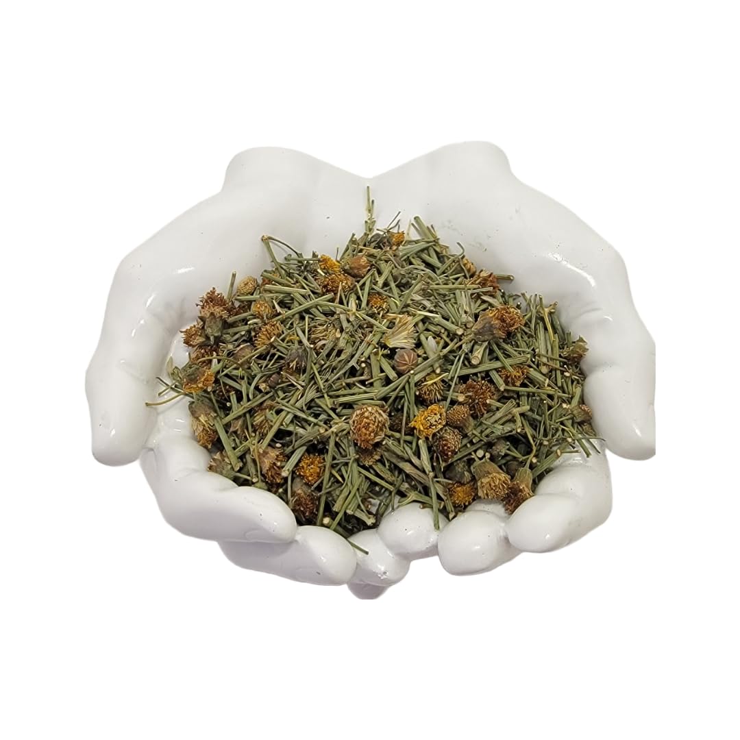 HealinGifts Cota Navajo Tea Indian Tea Greenthread Thelesperma Yabanah 4 ounces. Wildcrafted from North Central New Mexico.