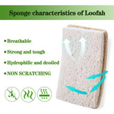 WANGDA.G Loofah Dish Sponges Kitchen,Organic Natural Sponges for Dishes,Non Scratch Eco Friendly Biodegradable for Cleaning,6PCS