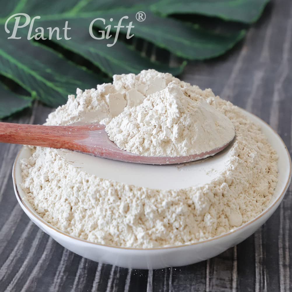 Plant Gift 100% Pure Lily Powder ??? lily bulbs Powder Natural Lily Flour, Great Flavor for Drinks, Adds Flavor and Taste Non-GMO Powder, No Filler