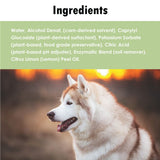 URINASE Ultra Enzyme Formula Stain & Odor Remover Spray, Carpets & Rugs, Hardwood & Furniture, Crates & Litter Boxed, Non-Toxic, Urine Destroyer, 4 oz