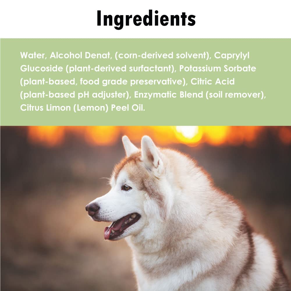 URINASE Ultra Enzyme Formula Stain & Odor Remover Spray, Carpets & Rugs, Hardwood & Furniture, Crates & Litter Boxed, Non-Toxic, Urine Destroyer, 4 oz