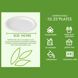 Vplus 150 Pack Compostable Disposable Paper Plates 10.25 inch Super Strong Paper Plates 100% Bagasse Natural Biodegradable Eco-Friendly