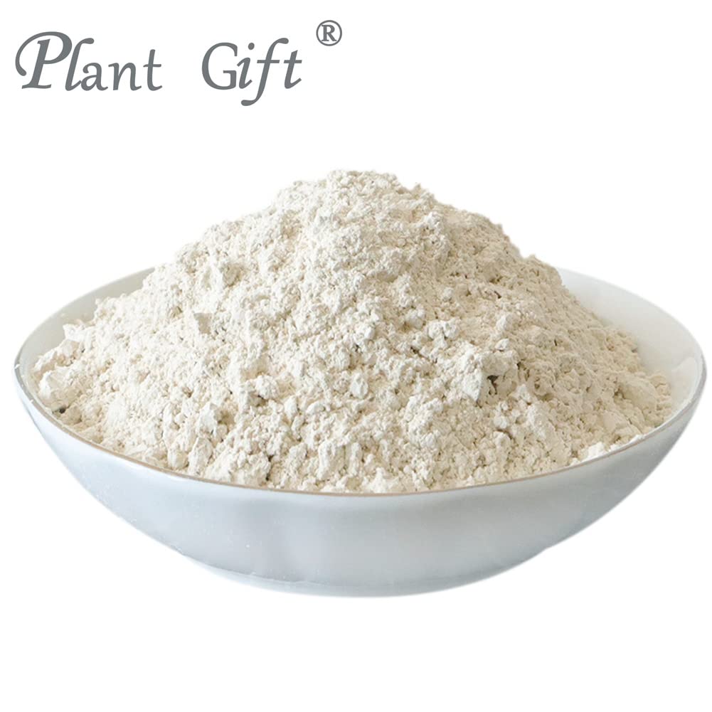 Plant Gift 100% Pure Lily Powder ??? lily bulbs Powder Natural Lily Flour, Great Flavor for Drinks, Adds Flavor and Taste Non-GMO Powder, No Filler