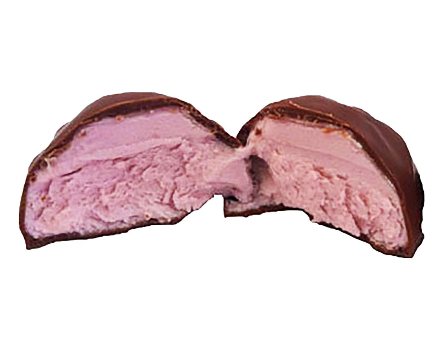 Owyhee Idaho Huckleberry Gems Chocolate Candy Bars - 18CT