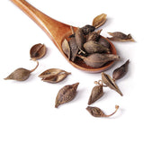 Plant Gift Forsythia Tea ?? 100% Therapeutic Grade Forsythia Dried Fruit Herb Medicine (Forsythia Suspensa) 60G/2.11oz