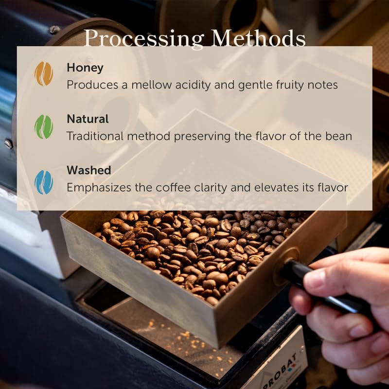Bean of Fire El Salvador Red Bourbon Honey Ground Coffee - Medium Roast, Single Origin Specialty, Smooth & Fruity Cup (16 oz)