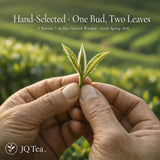 Premium Grade 2026 Pre-Qingming Dragon Well Green Tea Loose Leaf | Longjing Tea from Hangzhou Origin | Whole Leaf Hand-Roasted Dragonwell | Chinese