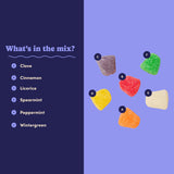 Nuts com Spice Drops Candy Classic Sugar Coated Gum Drops Candy in Clove, Cinnamon, Anise, Spearmint, Sassafras & Wintergreen - Chewy Jelly Drops