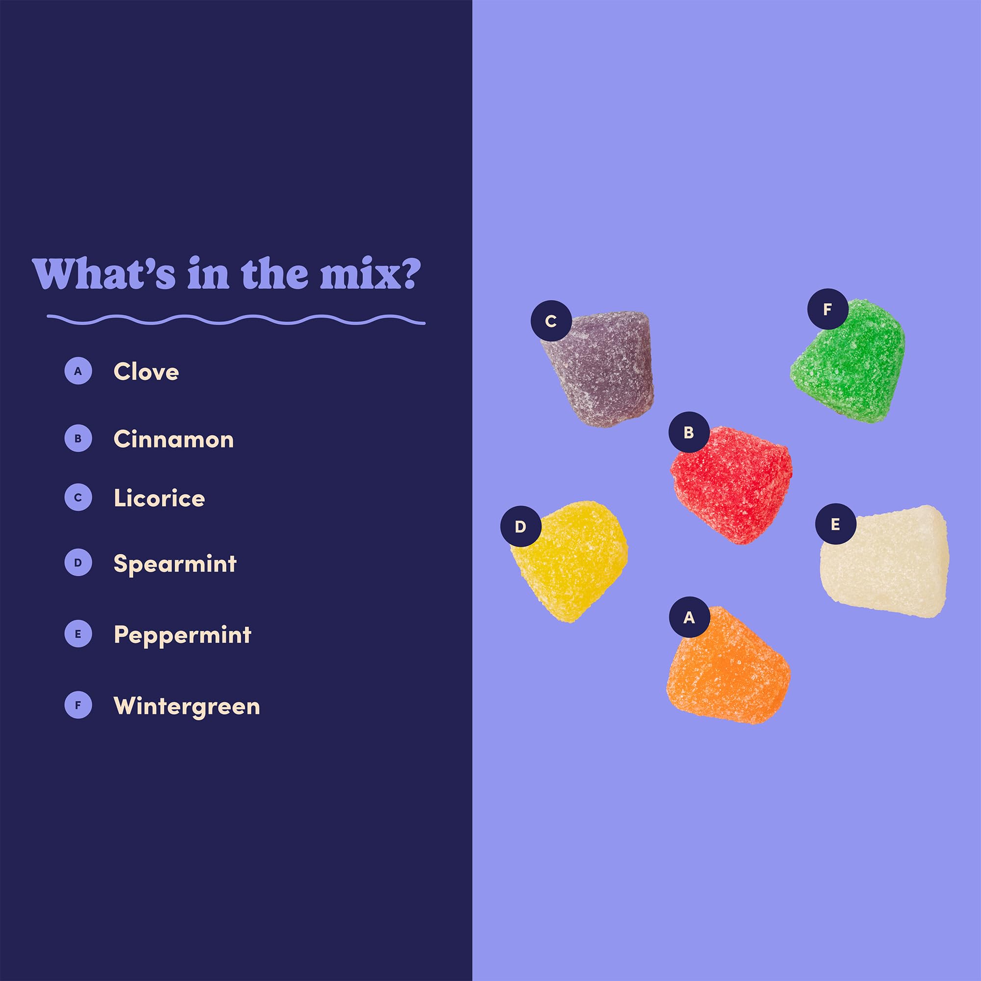 Nuts com Spice Drops Candy Classic Sugar Coated Gum Drops Candy in Clove, Cinnamon, Anise, Spearmint, Sassafras & Wintergreen - Chewy Jelly Drops