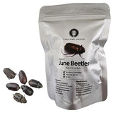 Thailand Unique Giant June Beetles - 15 Gram Bag of Dehydrated Edible Insects for Humans, Nutritious Bugs Superfood Unique Snack Gift