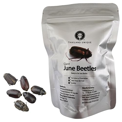 Thailand Unique Giant June Beetles - 15 Gram Bag of Dehydrated Edible Insects for Humans, Nutritious Bugs Superfood Unique Snack Gift