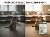 GLAT Group Enzyme-Powered Carpet Deodorizer (Powder) - Vanilla Pumpkin | Natural Pet Odor Eliminator | Bio-Enzymatic Formula, Premium Performance, Eco